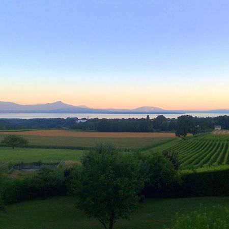 Le Chateau Lavigny エクステリア 写真