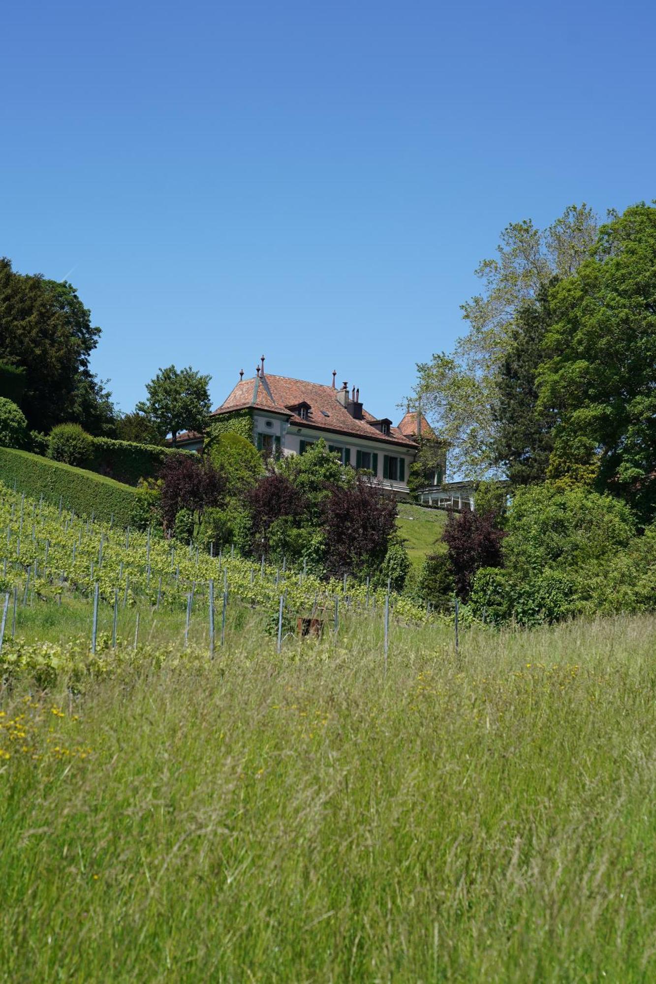 Le Chateau Lavigny エクステリア 写真