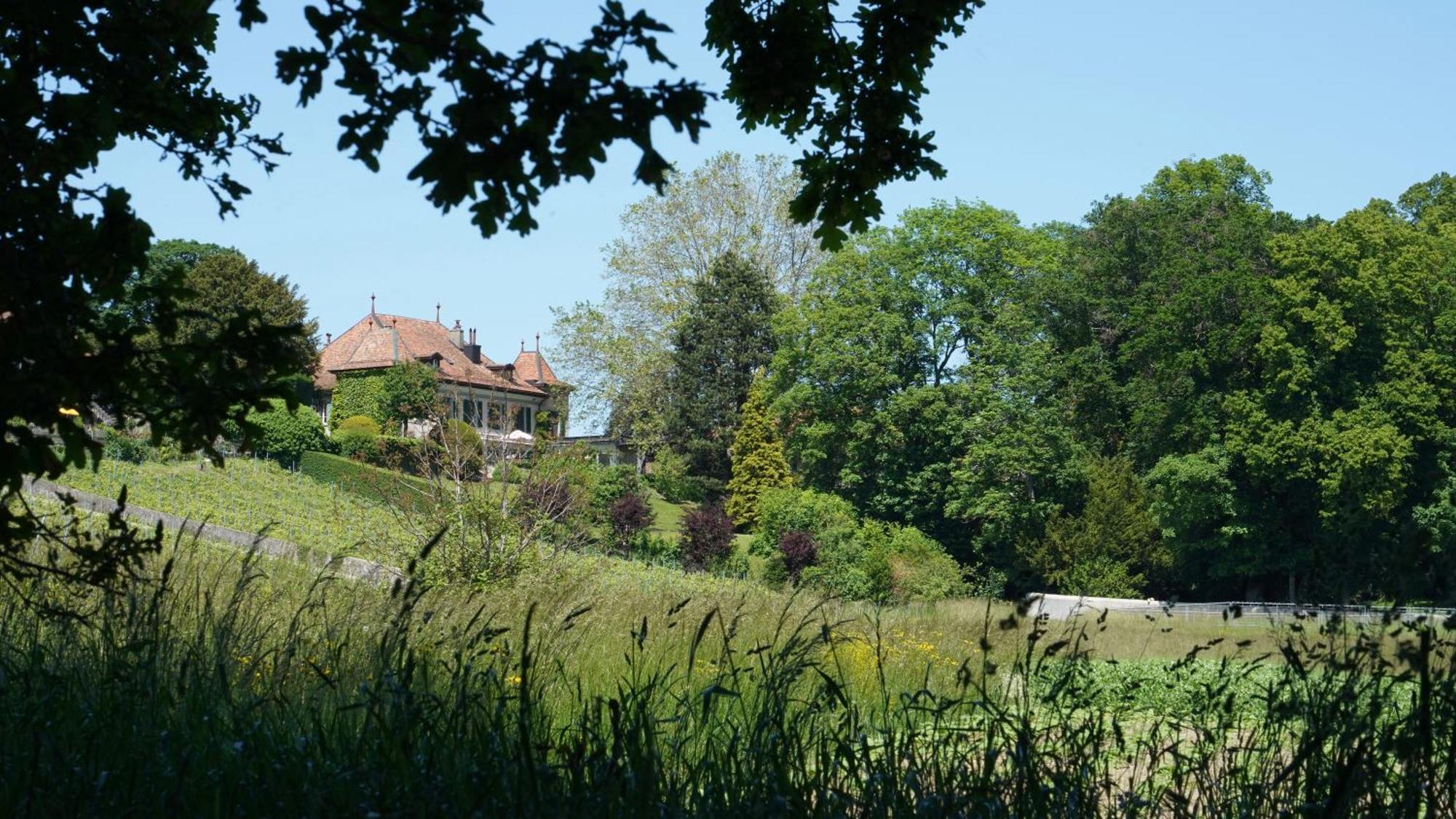 Le Chateau Lavigny エクステリア 写真
