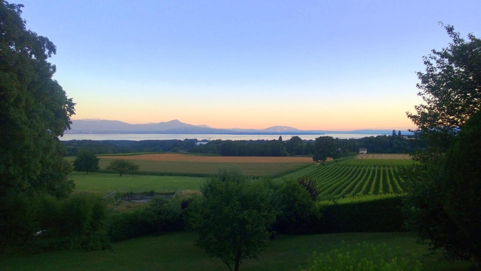 Le Chateau Lavigny エクステリア 写真